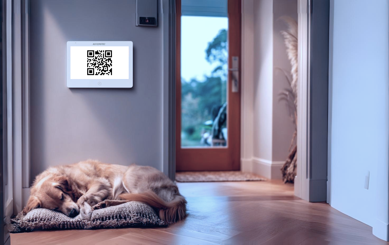 Откройте Дверь Будущего с Аккордтек: QR-Коды для IP-Домофонии!