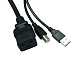 UPS-220/3000VA Источник бесперебойного питания (UPS) ACCORDTEC, 220 В